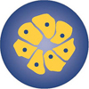 molecular-oncology